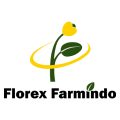 FLOREX 512X512PX (BG)